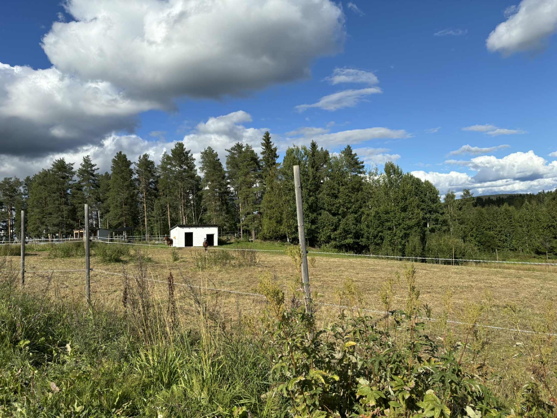 Lösdriften är klar! Är du intresserad av att ställa dig i kö? Kontakta oss